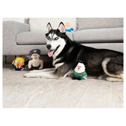 Downtown Pet Supply products