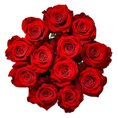 Global Rose products