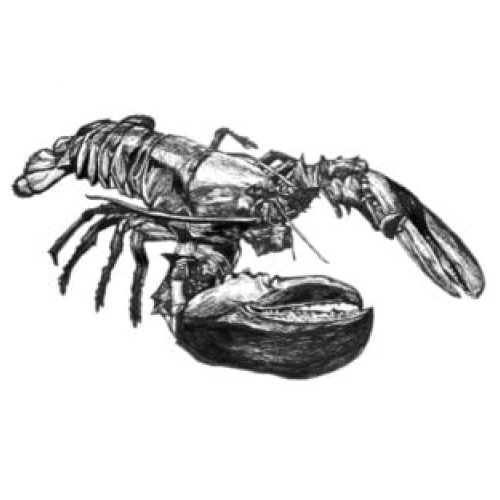 Lobster Anywhere products