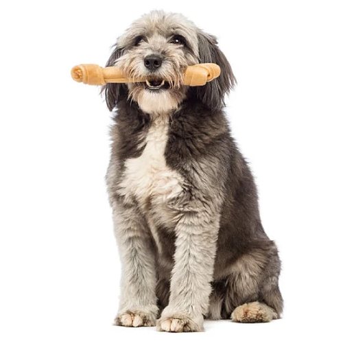 Raw Paws Pet Inc. products