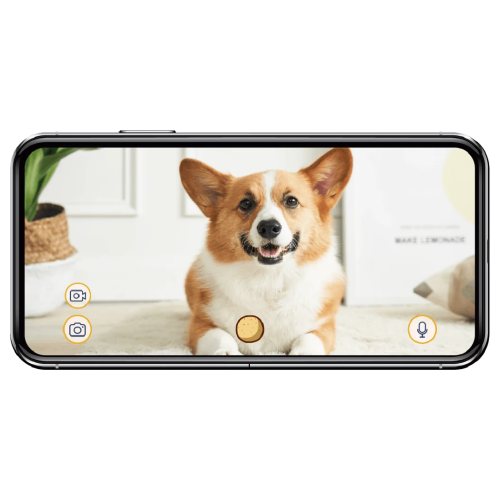 Furbo Dog Camera products