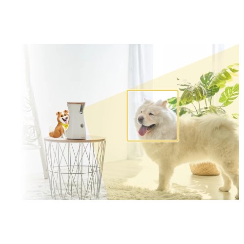 Furbo Dog Camera products