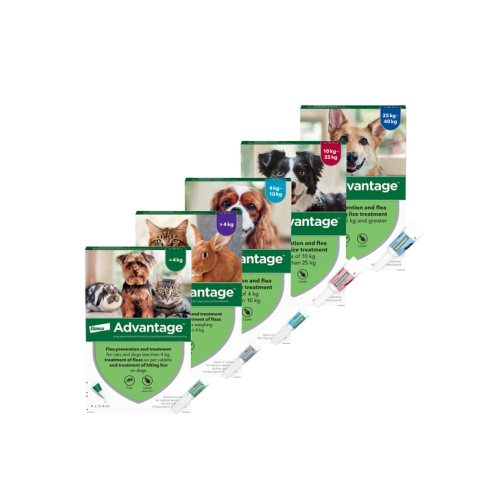 PetVet Express  products