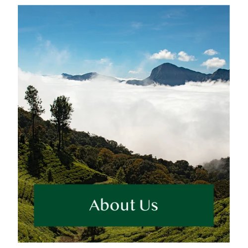 Vahdam Teas Private Limited products
